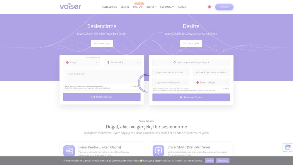 Voiser Website screenshot