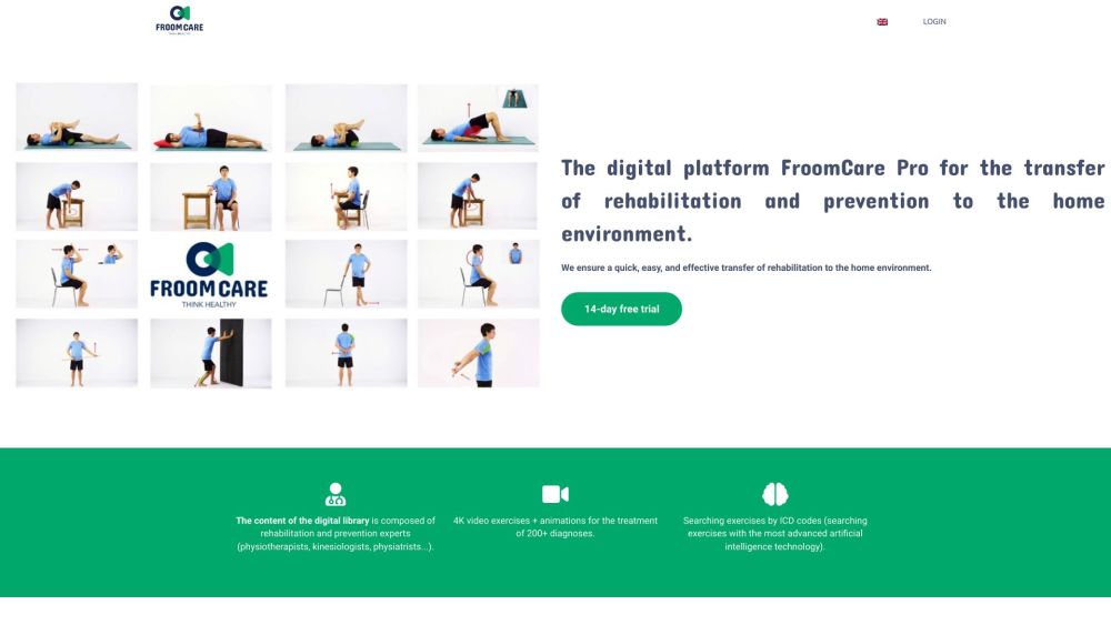 FroomCare Pro Website screenshot