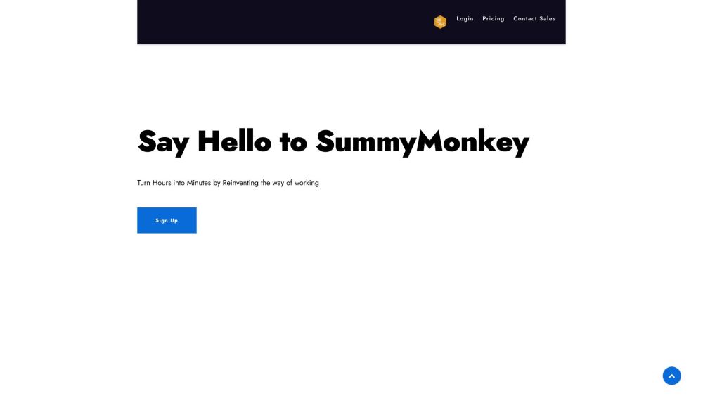 SummyMonkey Website screenshot