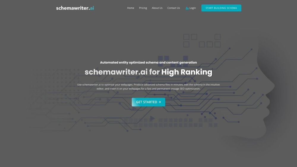 schemawriter.ai Website screenshot