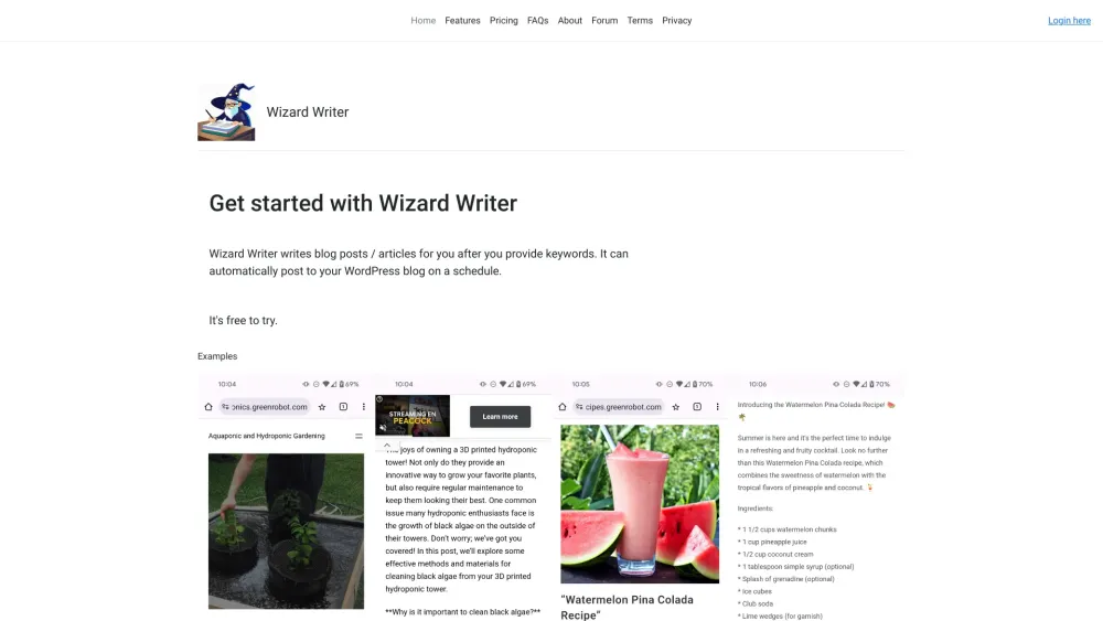 Wizard Writer Website screenshot