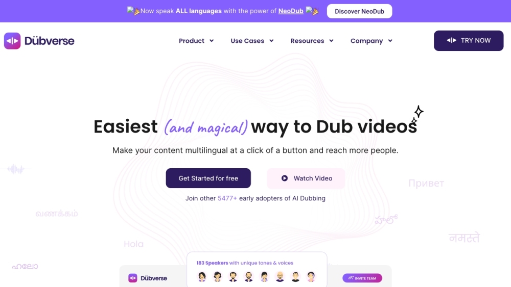 Dubverse Website screenshot