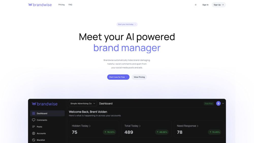 Brandwise Website screenshot