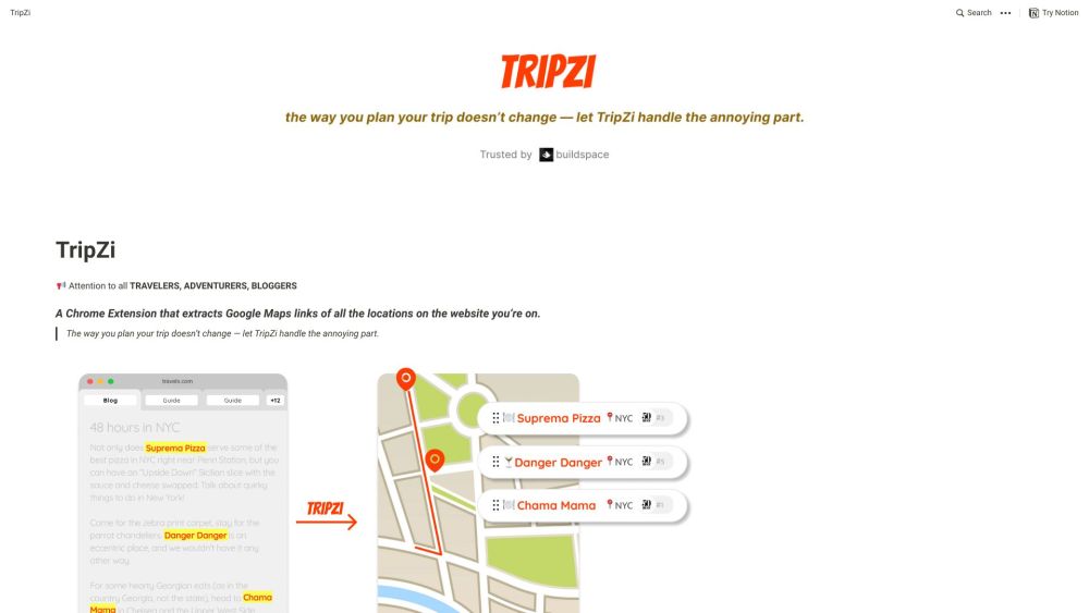 TripZi Website screenshot