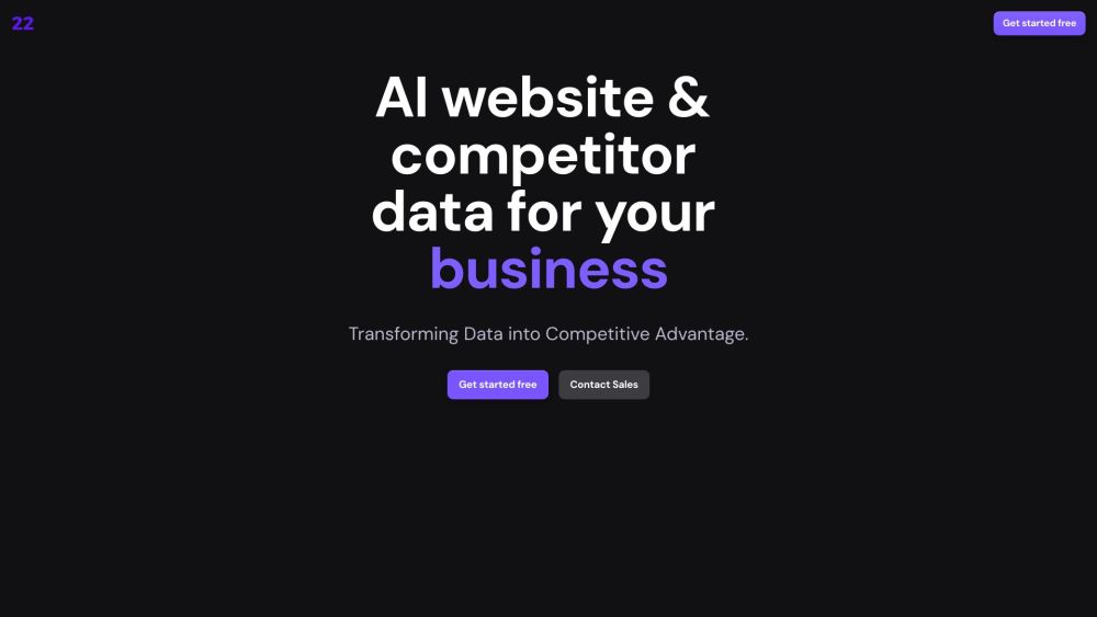 22Analytics Website screenshot