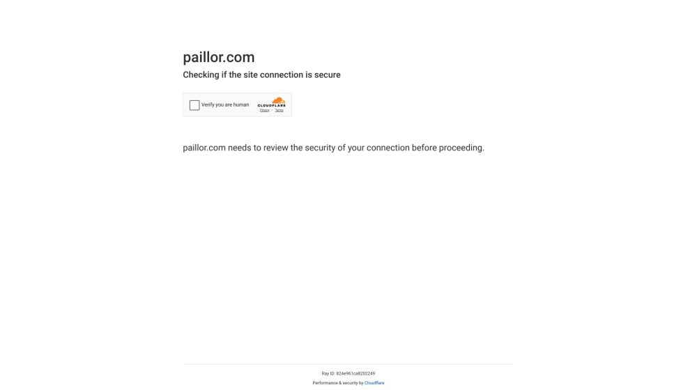 Paillor Website screenshot