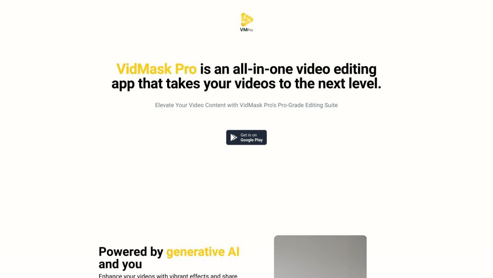 VidMaskPro Website screenshot