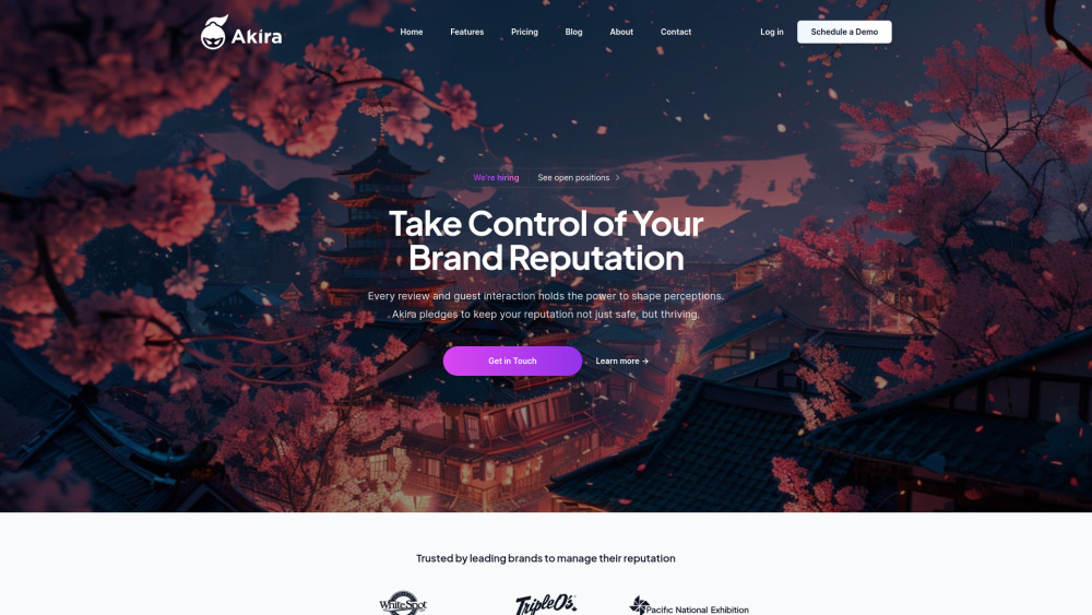 Akira Reputation Management Website screenshot