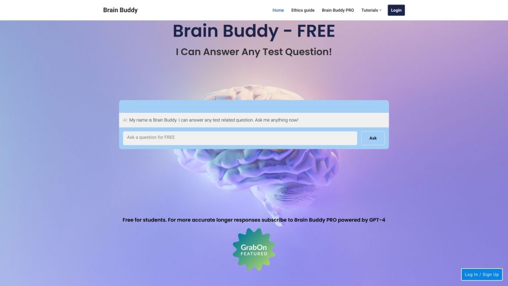 Brain Buddy Website screenshot