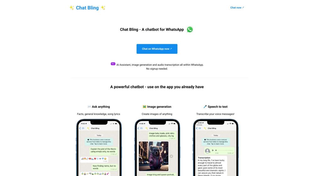 Chat Bling Website screenshot