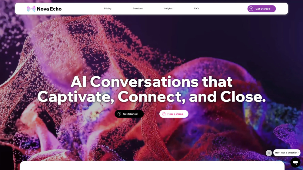 Nova Echo AI Website screenshot