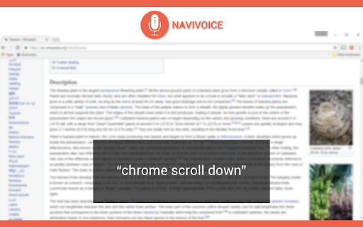 NaviVoice - Chrome Extension Website screenshot