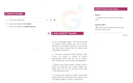 Google Search ChatGPT Extension - Chrome Extension Website screenshot