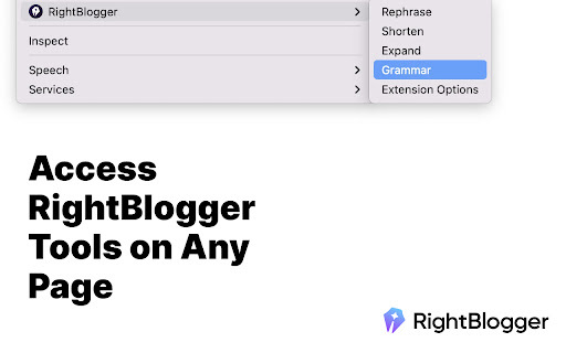 RightBlogger - Chrome Extension Website screenshot