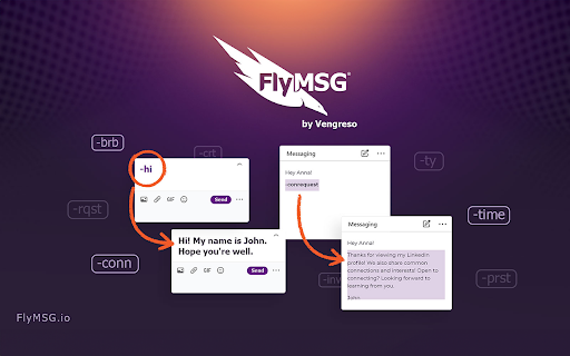 FlyMSG - Chrome Extension Website screenshot