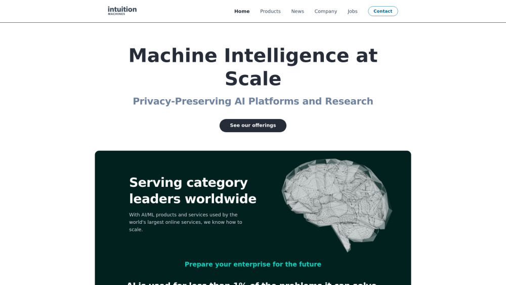 Intuition Machines, Privacy-Preserving AI/ML Leader Website screenshot