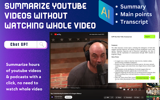 AI Video Summarizer - Chrome Extension Website screenshot