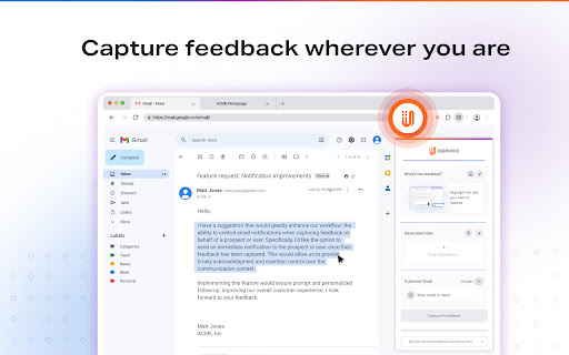 UserVoice Feedback Extension - Chrome Extension Website screenshot