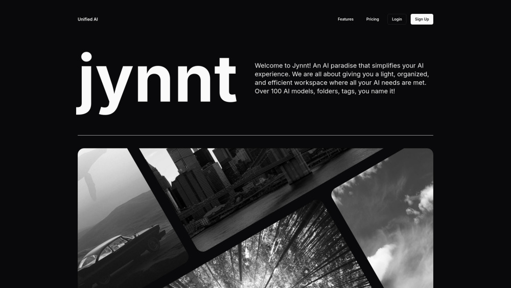 Jynnt Website screenshot