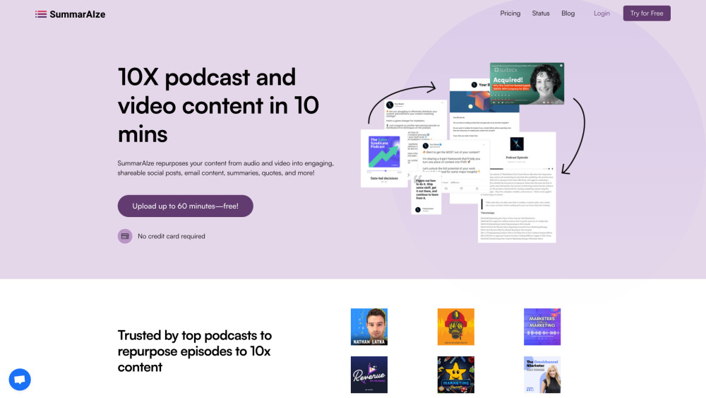 SummarAIze Website screenshot