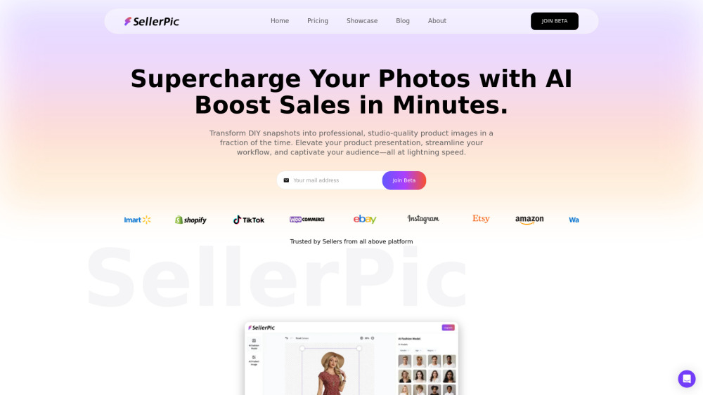 SellerPic Website screenshot